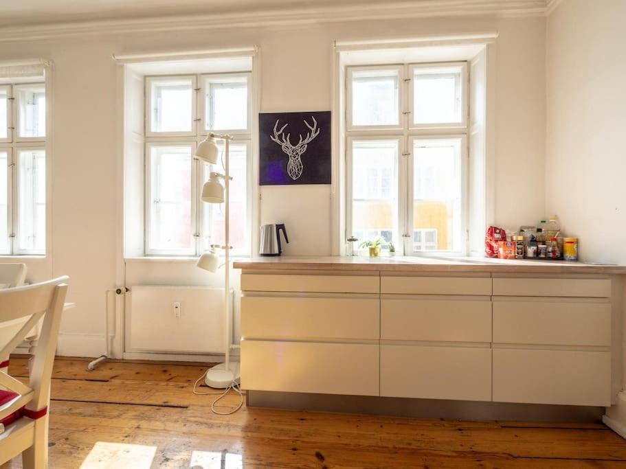 Apartment White Douplex Charm: Big Flat In The City Centre Copenhagen