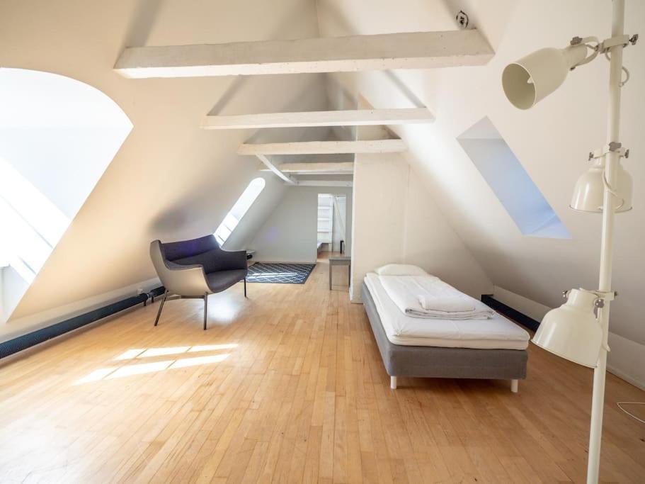 Apartment White Douplex Charm: Big Flat In The City Centre Copenhagen